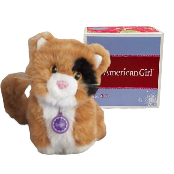 American Girl PET GINGER CAT & Ginger Name Tag COLLAR w/ Buckle Calico Kitty BOX - Picture 1 of 9